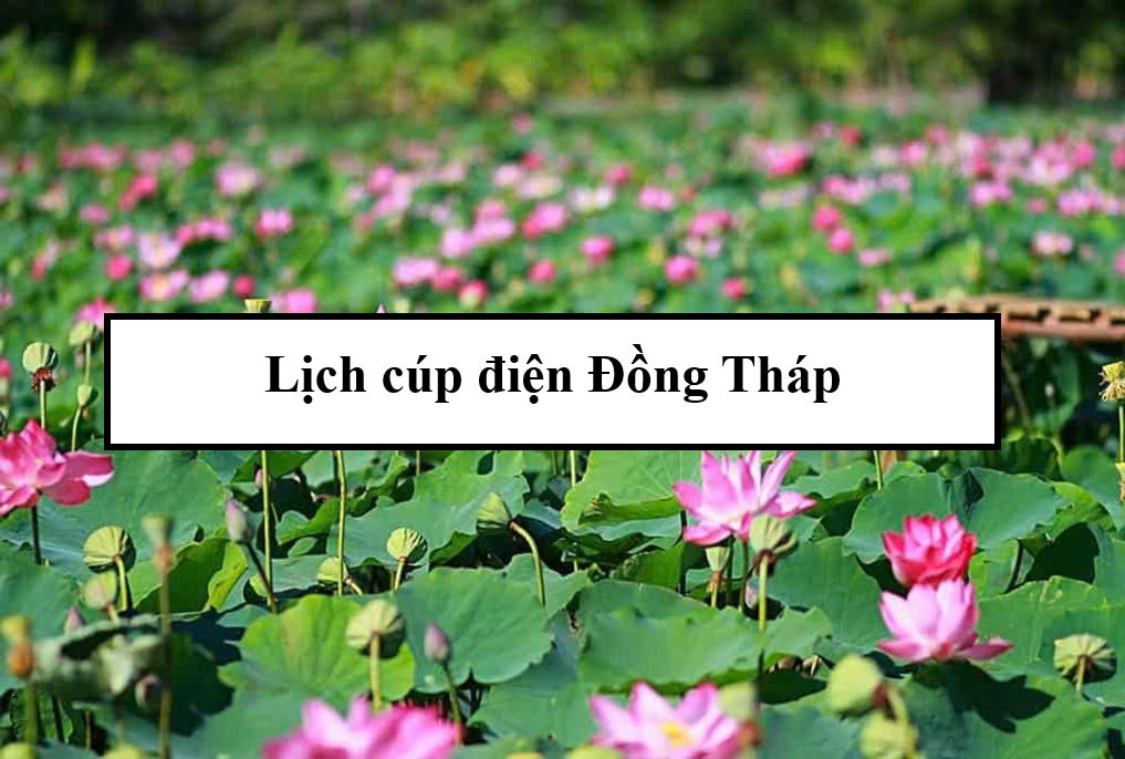 Lịch cúp điện Đồng Tháp